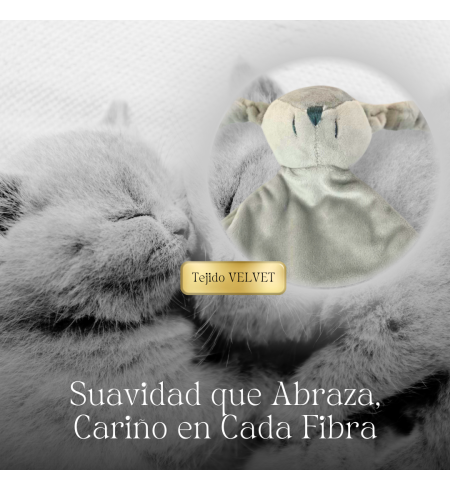 Personalized Baby Comforter & Pacifier | Custom Name Gift – Bebedeparis.com