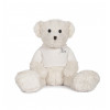 Embroidered dressing gown and teddy bear set