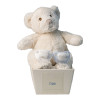 Pack of two personalised dummies and teddy bear blue