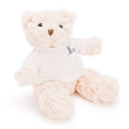 Children's Crockery Basket Body Blanket and Teddy Bear