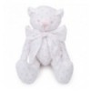 Teddy Bear Baby Gift Set